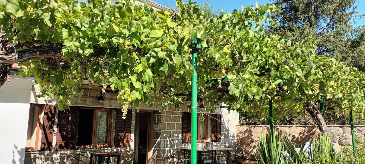 La Parra De Pepa Guest House Cercedilla Luaran gambar